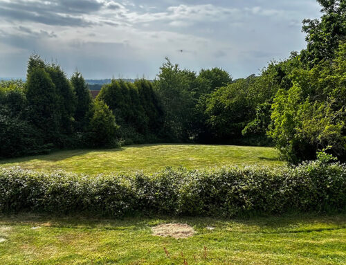 How Do I Know If My Land Has Development Potential?